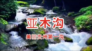 梦想之森