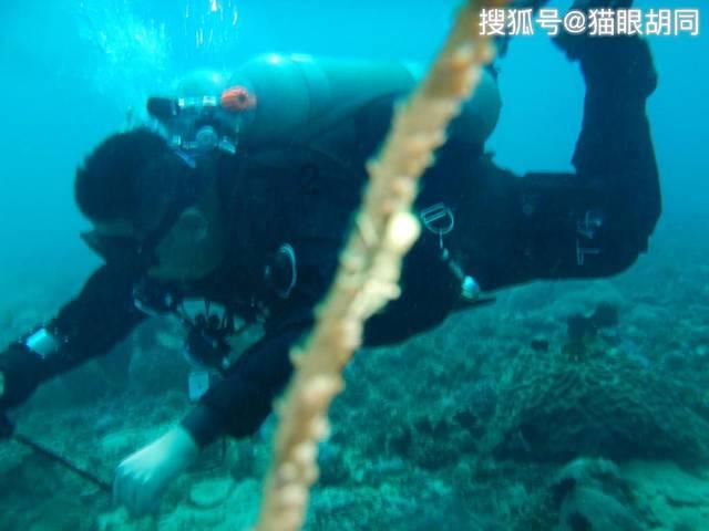 知三当三，被人锤到退圈？！